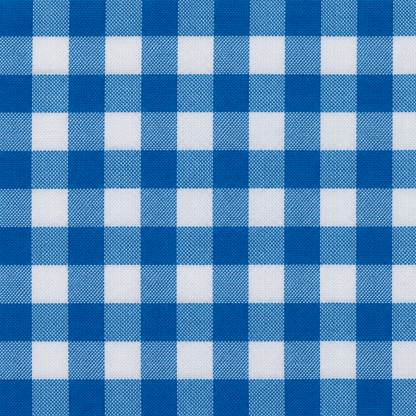 Checkered Dacron | Large Checks
