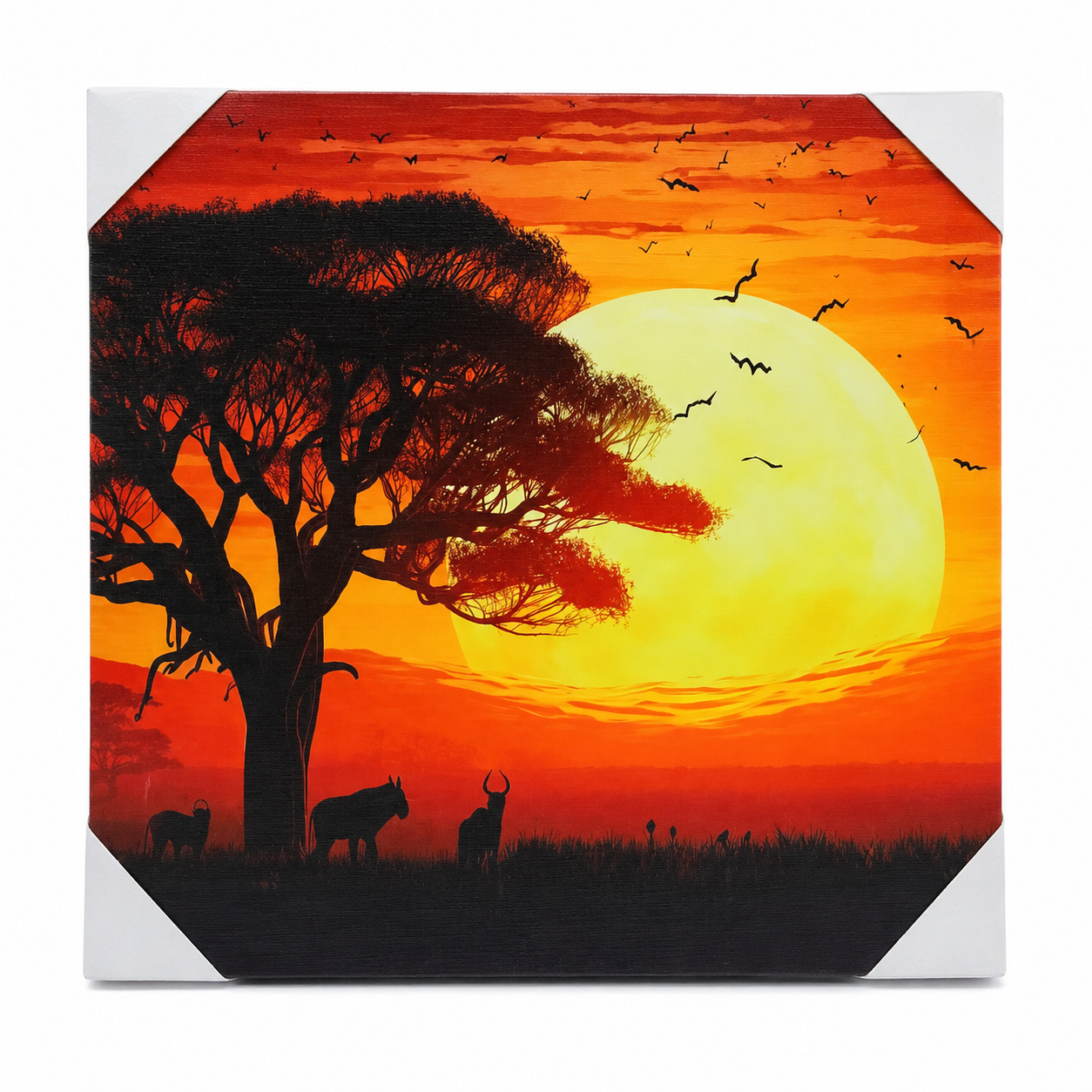 Art Frame |  Wall Art
