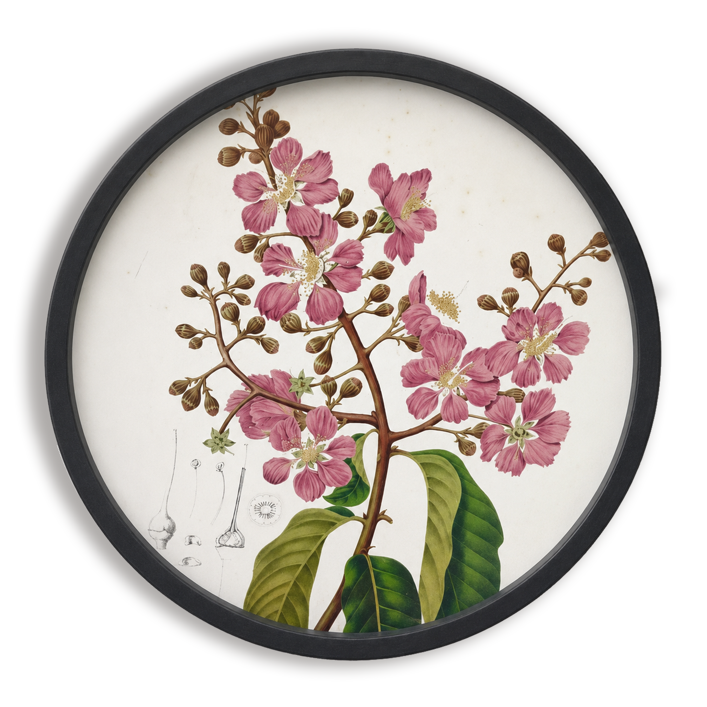 Art Frame | Round