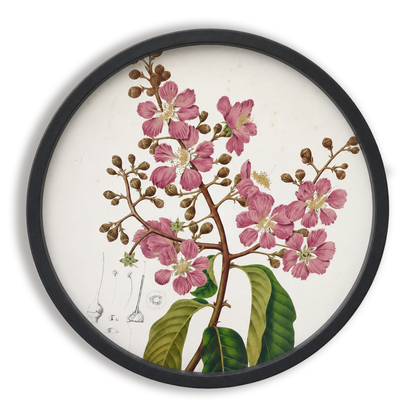 Art Frame | Round
