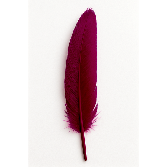 Individual Feather Fuchsia