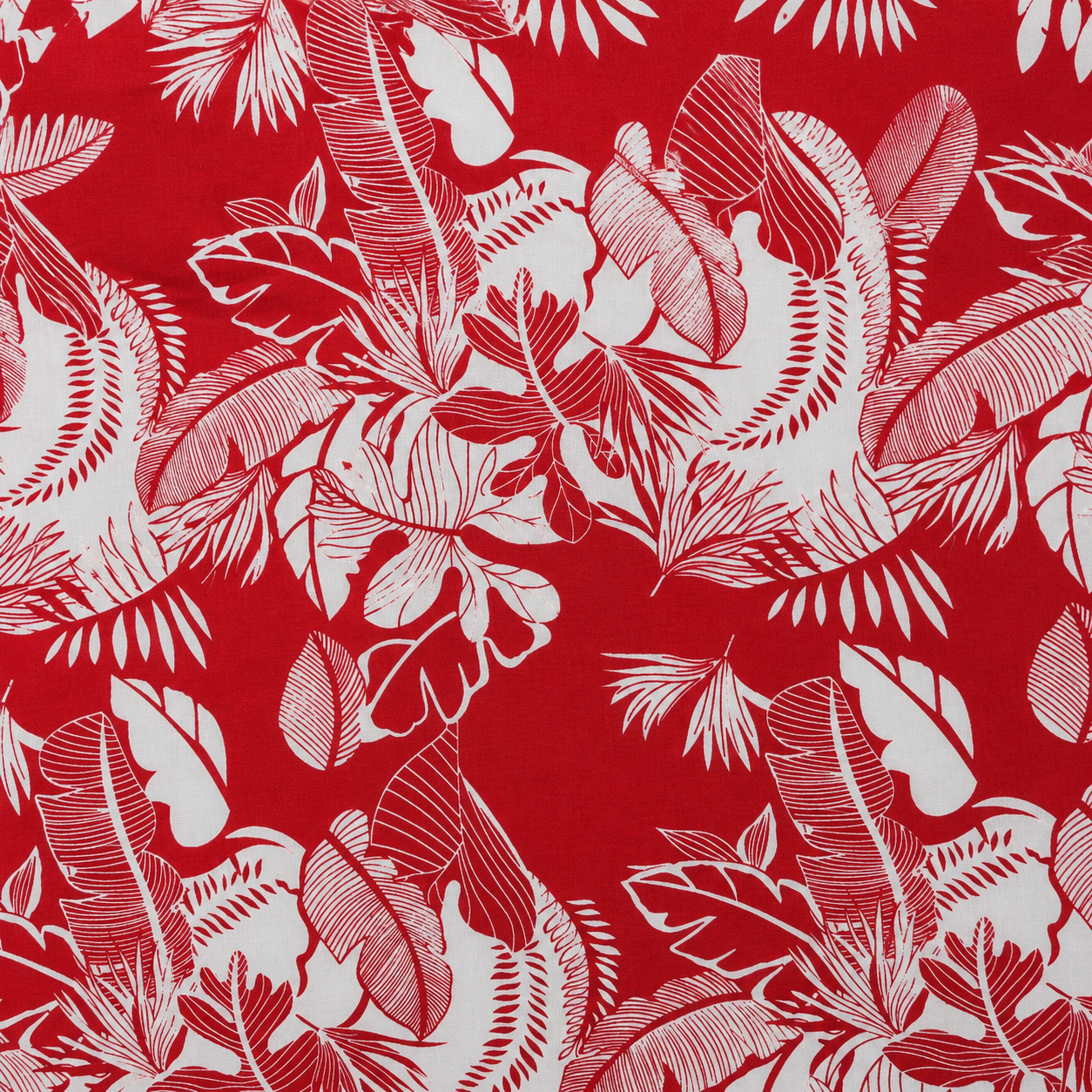 Tropical Cotton | Stretch