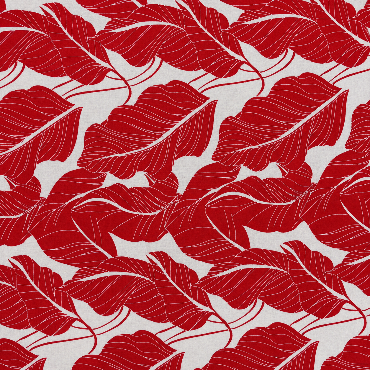 Tropical Cotton | Stretch