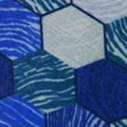 Charlie Tops | Hexagon Mosaic