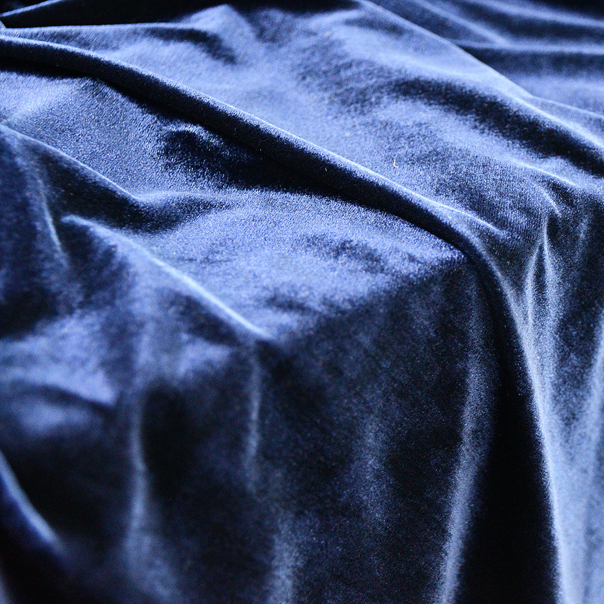 Velvet | Stretch