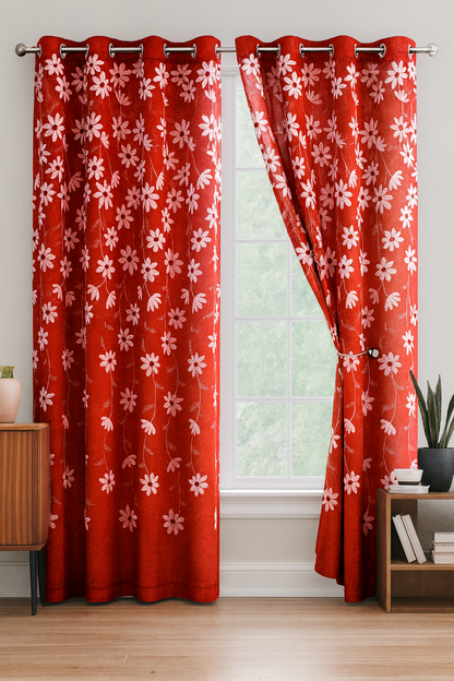 Aarya Embroidered Heavy Sheer Panel