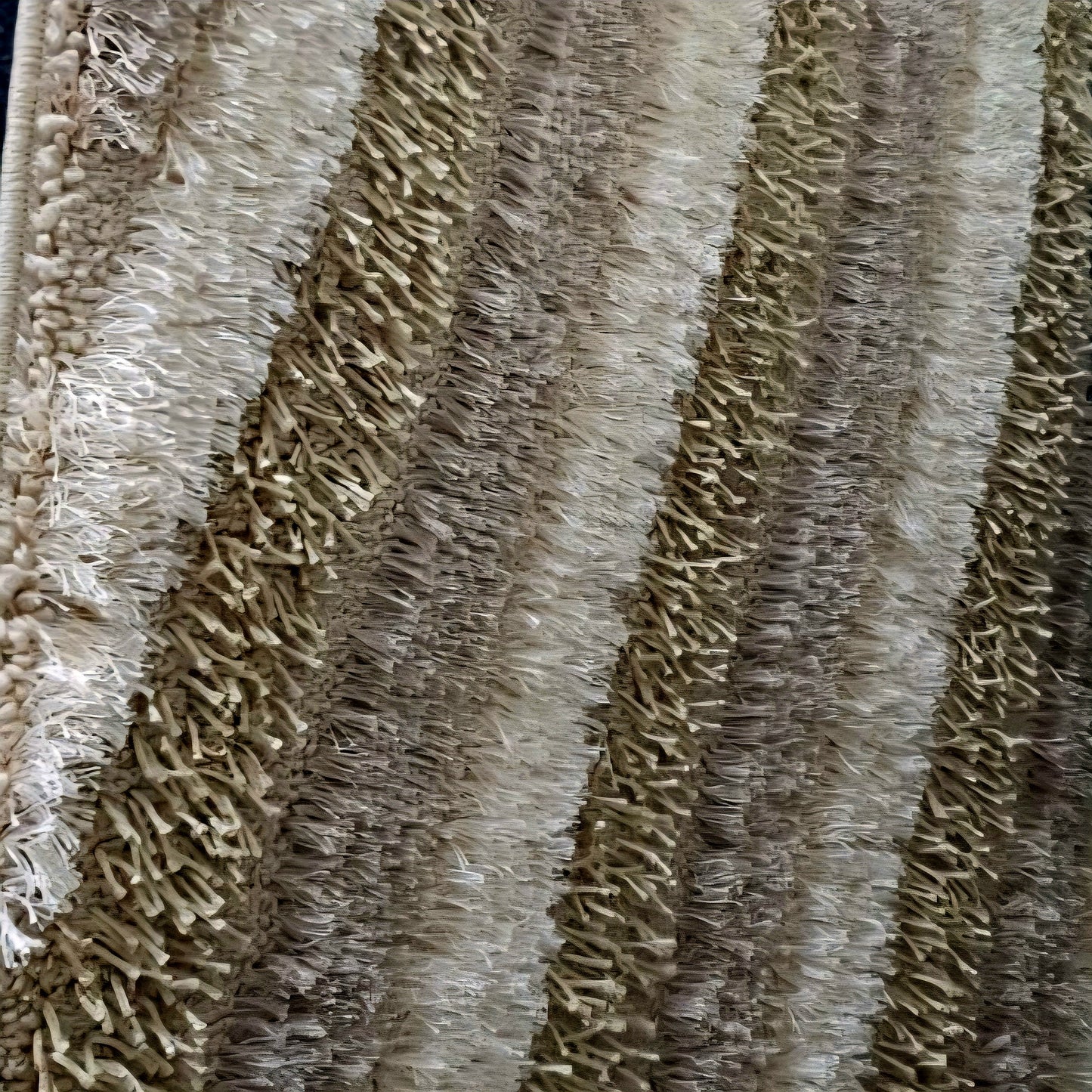 Shaggy Area Rug